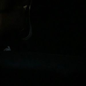 Meet your Posher, Yvonne